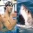 Michael Phelps, Great White Shark