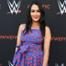 Brie Bella, WWE Emmy For Your Consideration Event