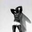 Djimon Hounsou