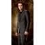 Twilight, Robert Pattinson, New Moon, Wall Skin