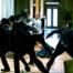 Transporter 3
