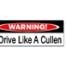 Twilight Bumper Sticker