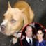 Cinnabun, Jesse  James, Sandra Bullock