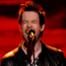 David Cook, American Idol: Season 7