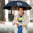 Bedtime Stories, Adam Sandler