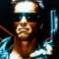 The Terminator