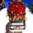 Michael Jackson's Casket
