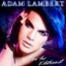 Adam Lambert, For Your Entertainment, Album Cover