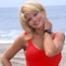 Donna D Errico, Baywatch