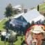 Kenny Chesney, Nashville Home