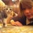 Taylor Swift Kitten