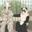 We bought a zoo