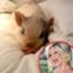 Tori Spelling, Twitter