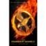 Hunger Games, Poster