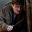 Harry Potter and the Deathly Hallows Part 2, Daniel Radcliffe