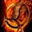 Catching Fire Motion Poster