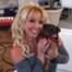 Britney Spears, Puppy, Twit Pic