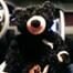 Soup Purity Bear 2 II Teddy