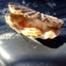 Clam Eats Chips Soup