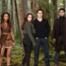 Twilight Saga Breaking Dawn Part 2