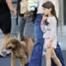 Katie Holmes, Suri Cruise, Dog