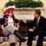 Barack Obama, Pirate, Twit Pic
