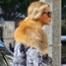 Beyonce, Fur, Vegan