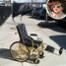 Lady Gaga, Wheelchair 