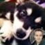 Liam Payne, Puppy, Twit Pic
