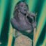 Mariah Carey, American Idol