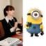 Anne Hathaway, The Devil Wears Prada, Despicable Me 2