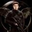 Hunger Games Gale 42 Character Profile Example