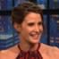 Cobie Smulders