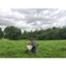 Chris Hemsworth, Instagram