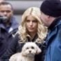 Jessica Simpson, Daisy
