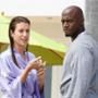 Kate Walsh, Taye Diggs, Private Practice