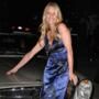 Nicollette Sheridan