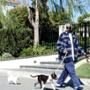 Snoop Dogg and his dogs