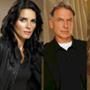 Angie Harmon (Women's Murder Club),  Mark Harmon (NCIS), Connie Britton (Friday Night Lights)