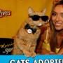 Giuliana Rancic, Morris