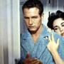Paul Newman, Elizabeth Taylor, Cat on a Hot Tin Roof
