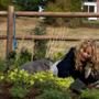 Meg Ryan, The Women: Guardin' The Garden