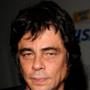 Benicio Del Toro
