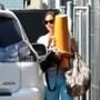 Halle Berry