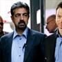 Criminal Minds, Joe Mantegna, CSI: NY, Gary Sinise