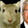 Richard Gere, Gerbil