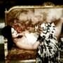 Repo! The Genetic Opera, Paris Hilton