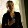 Kristen Bell, Heroes