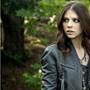 Gossip Girl, Michelle Trachtenberg