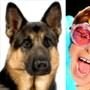 Elton John, Alsatian Dog